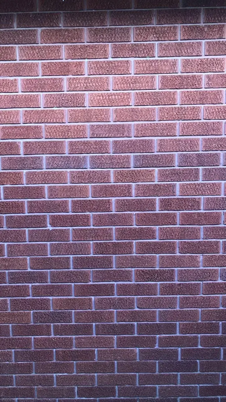 Imagine staring at this brick wall tripping.