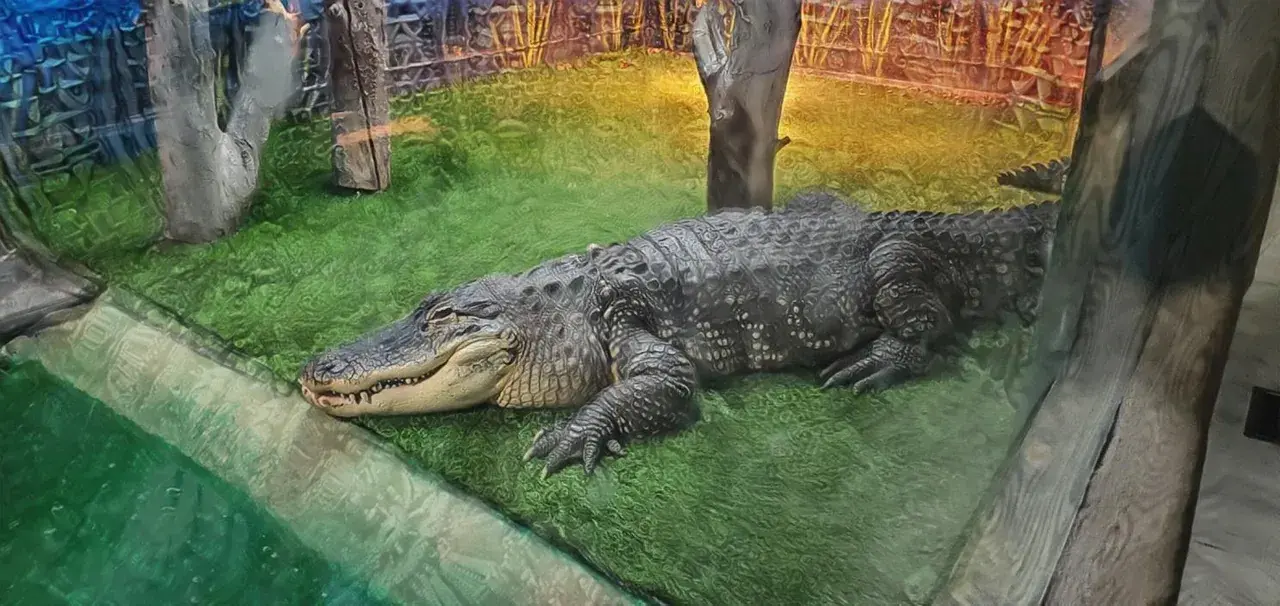 Reptile Gardens [ØÇ] Which is your favourite?