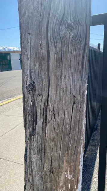 What a weird looking pole