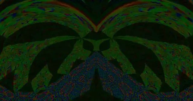 the dmt experience