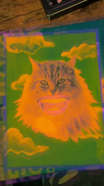 Feline High