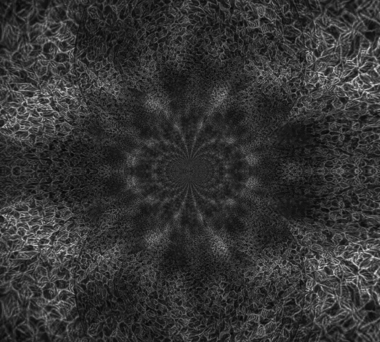 I experienced something like this on both. Psychedelic or dissociative?
