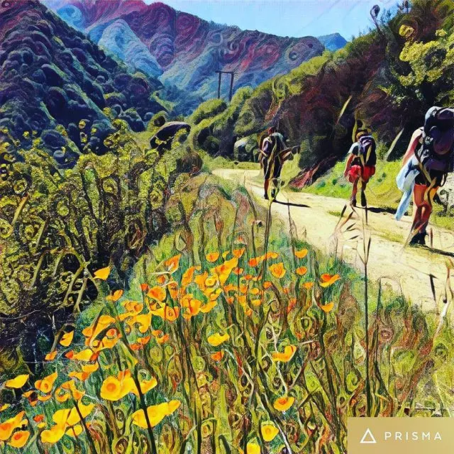 Backpacking in Sequoia