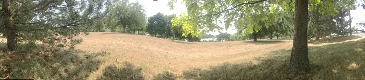 100 ug of 1p with cannabis