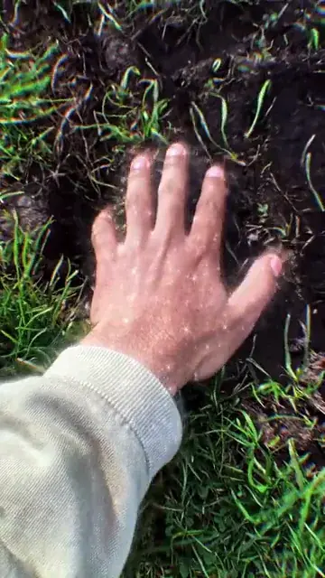My hands looking back at me...
