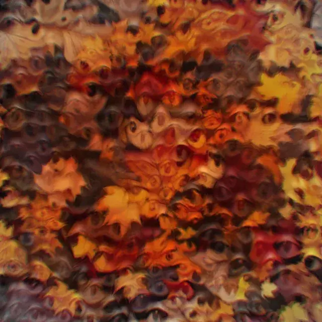 I swear, those leaves are looking at me (OC)