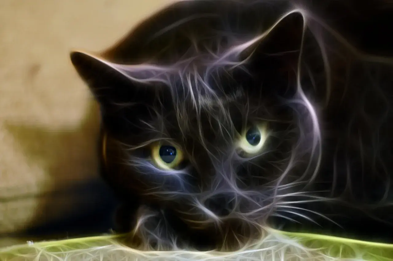 Fractalization Test