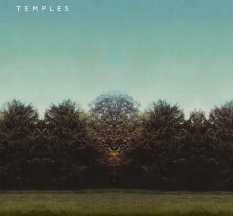 Any Temples fans here? Noticed that this album cover of theirs is almost certainly a replication