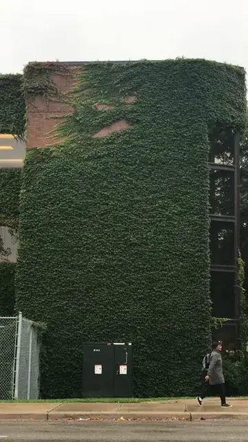 Looks familiar..