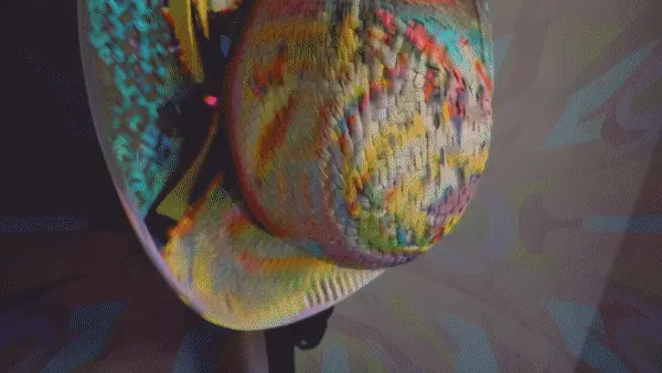 Heaven in my room (6 gif collage)