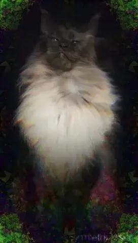 Here's another random psychedelic cat! (Request piece)