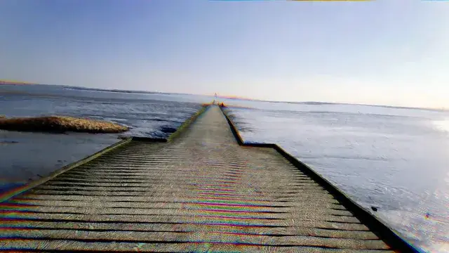 LSD ( LSD )