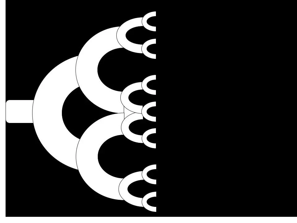 Weird pattern from Nitrous “vision”