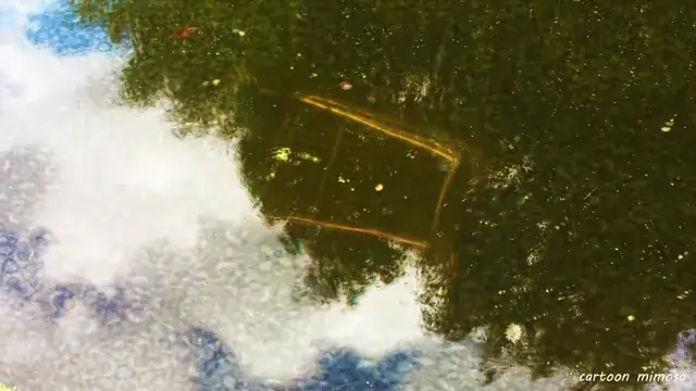 This shopping cart on mushrooms