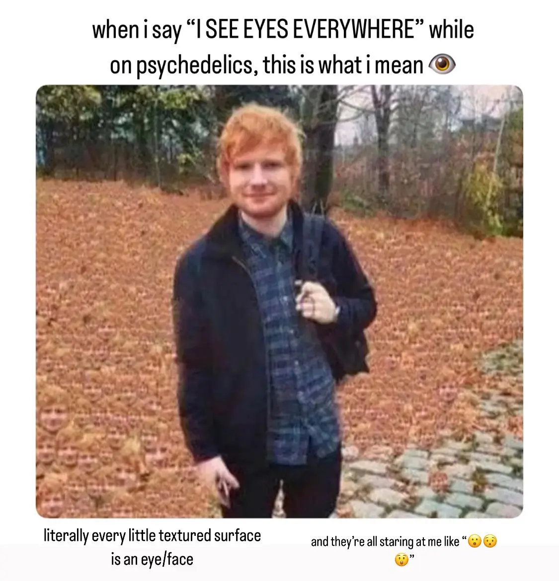 anybody else experience the eyes / faces enveloping your whole vision?