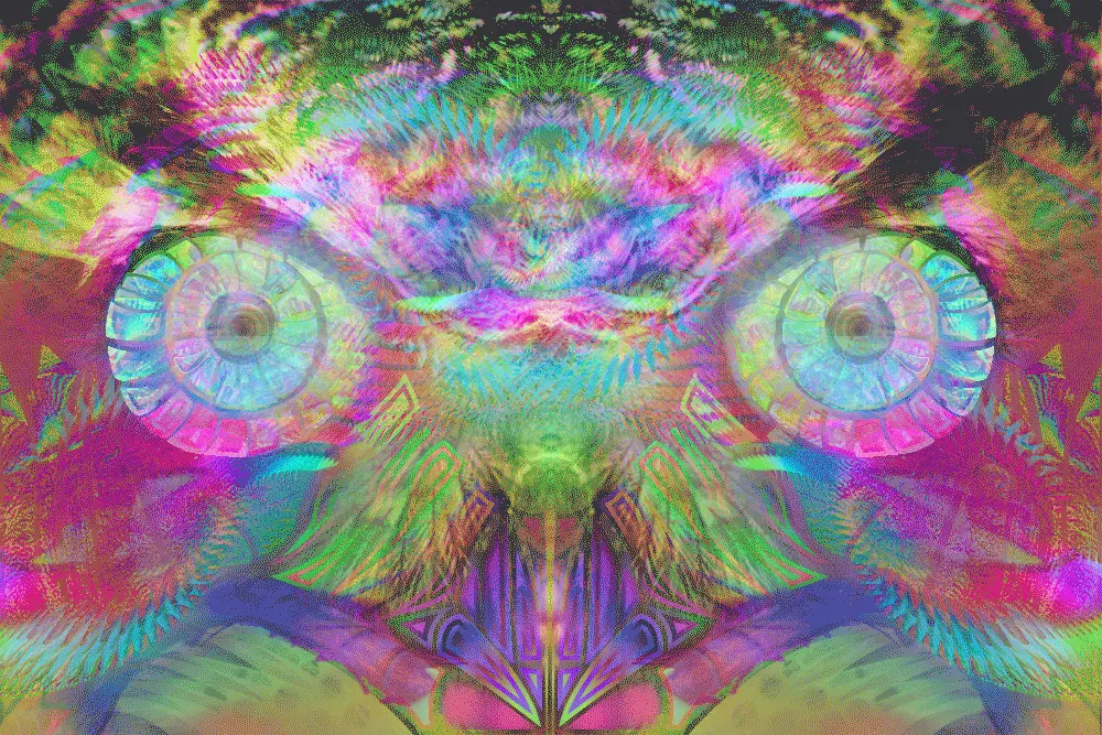colorfull mushies headspace :)