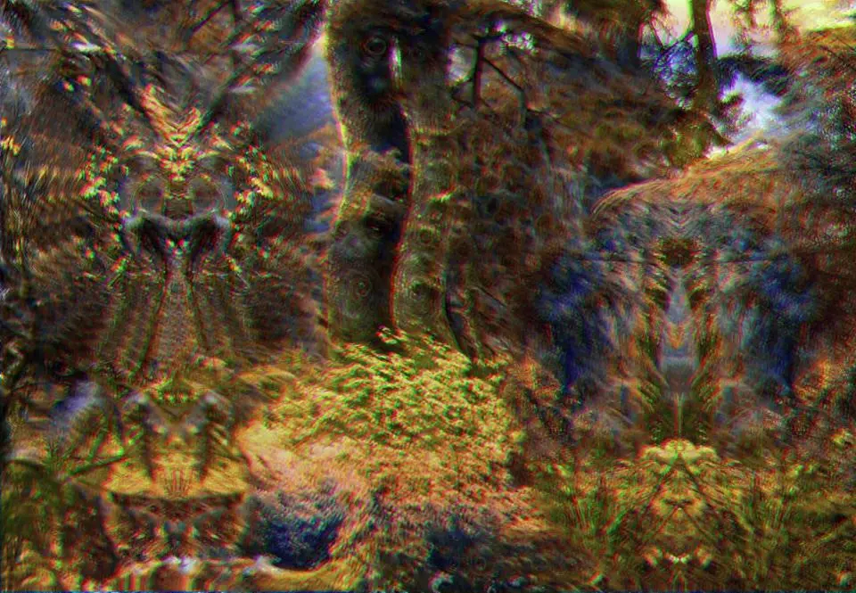 Shrooms replication of another shrooms replication