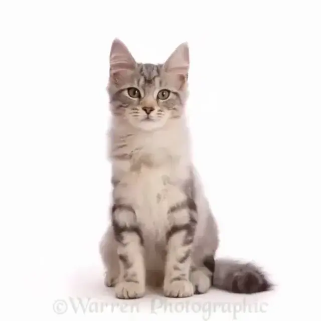 Time is strange