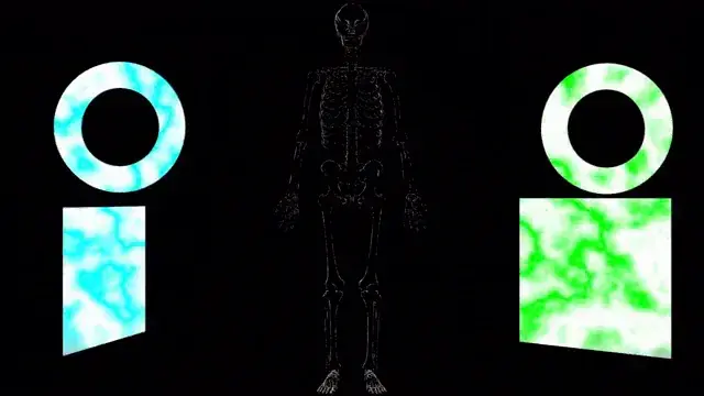 I had this exact CEV on 600mg DXM/ 250mg DPH.