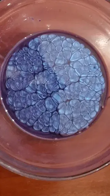 That looks familiar