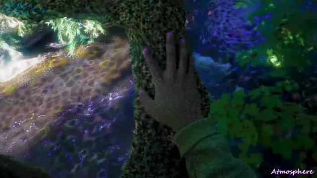 mushrooms+dabs=DMT?