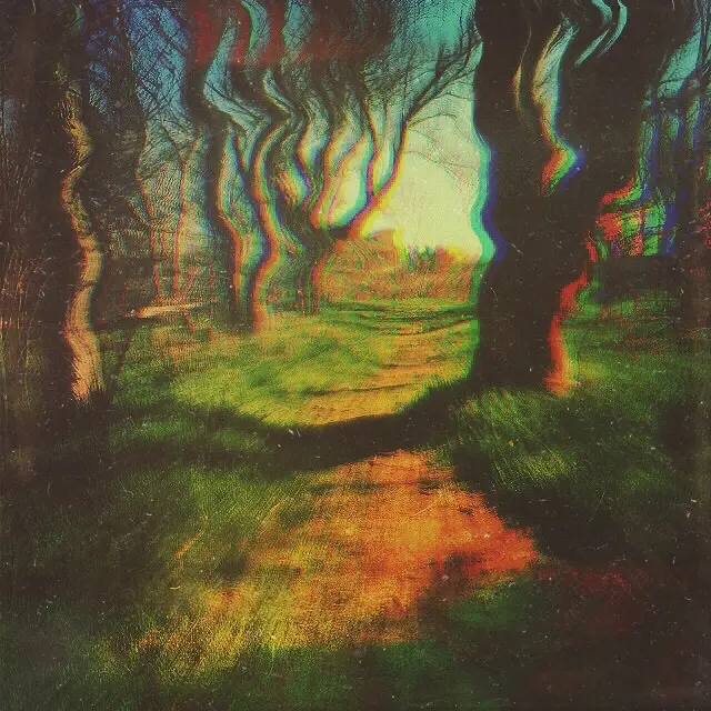 LSD/MDMA while Hiking (too bad I can't visually describe the euphoria)