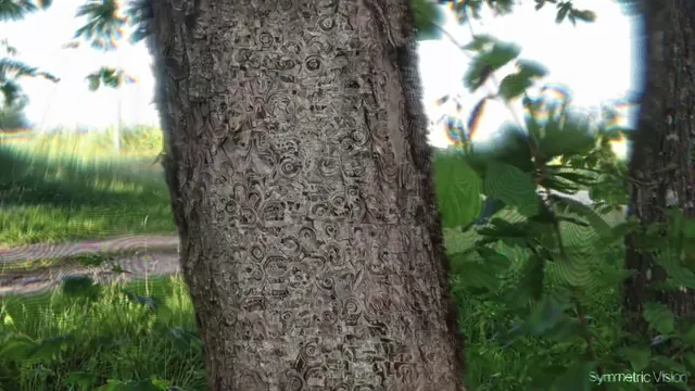 Tree Bark Patterning
