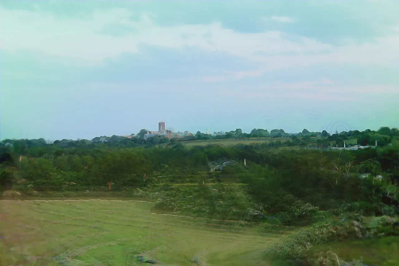 Fractalized Landscape