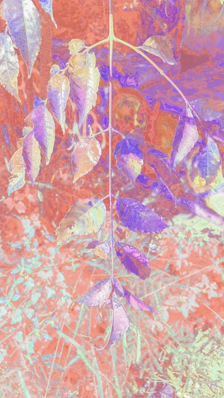 Made this a while back