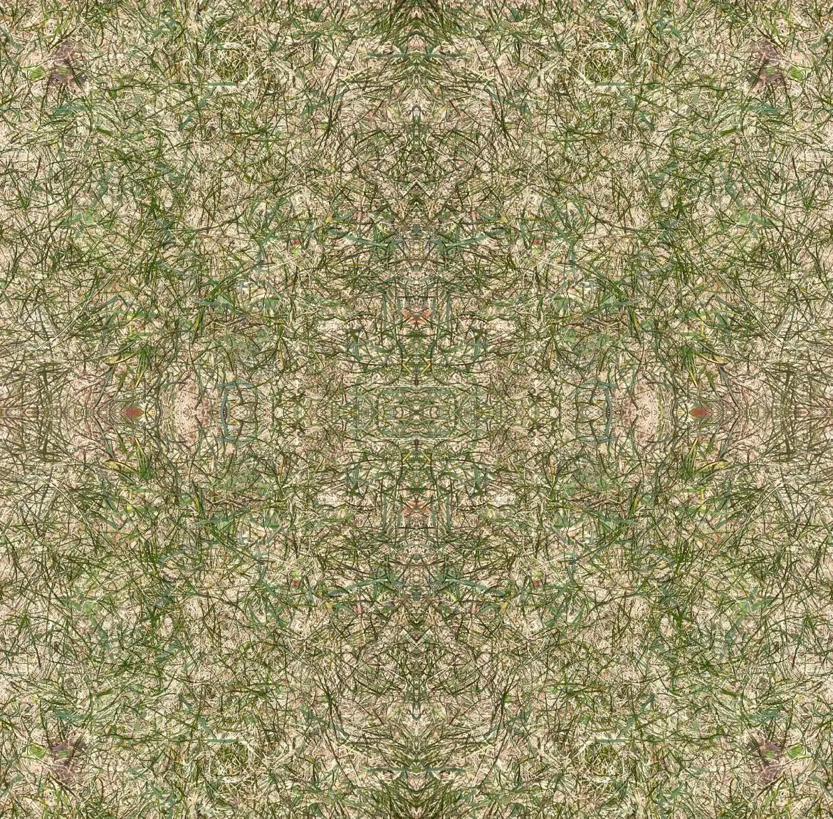 Ground on lsd