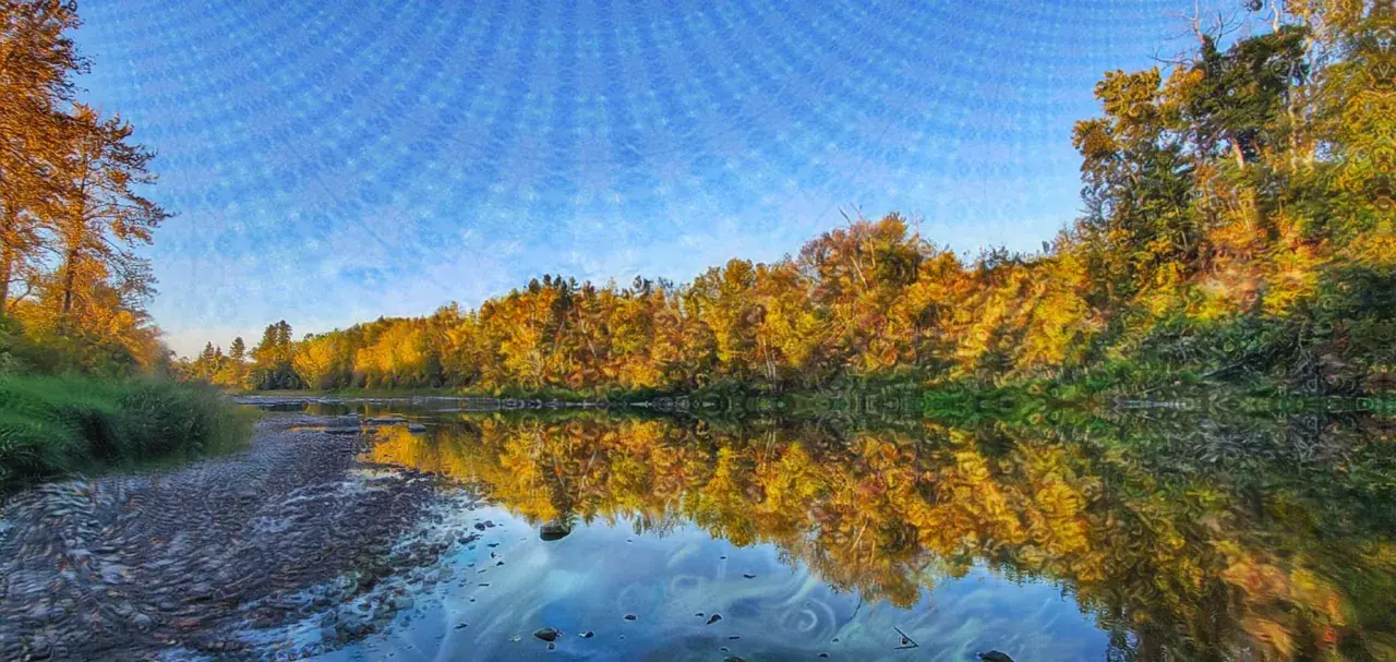 Fractal Frequency [OC]