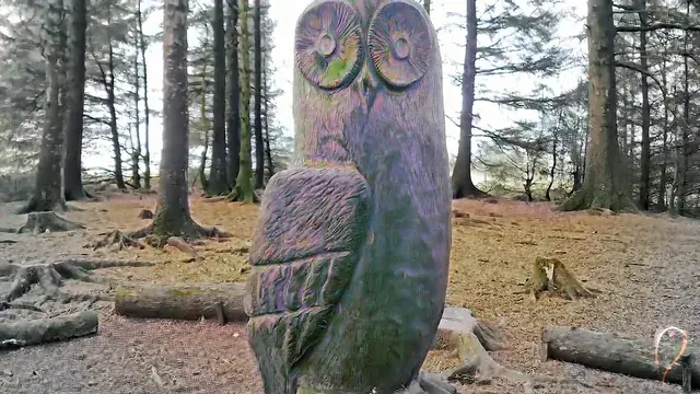Owlchemist ( LSD )