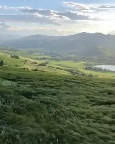 🔥 The great grass sea