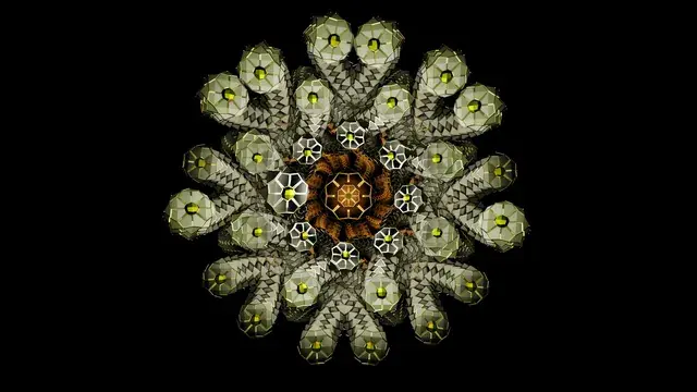 Organic Radial Mandala