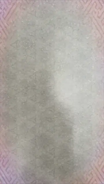 Polar
