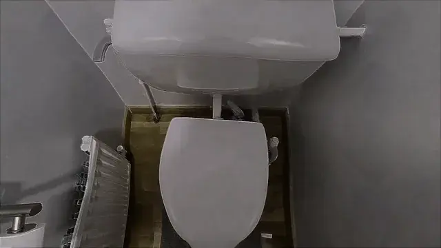 Nip to the toilet... Then again maybe not ( LSD quick peak )