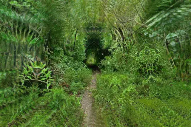 entrance to the nymph's abode