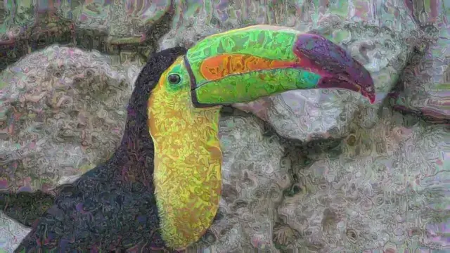 Trippy Toucan
