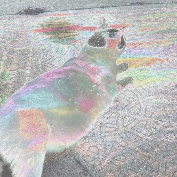 When the DMT is pulling you away from reality and you're trying for that last hit.