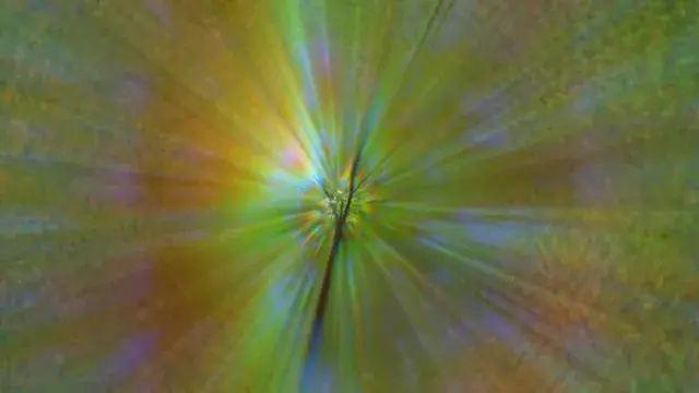 Tried to replicate the onset of a sub-breakthrough DMT experience under the trees