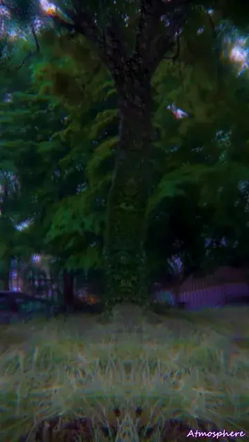 This wise tree