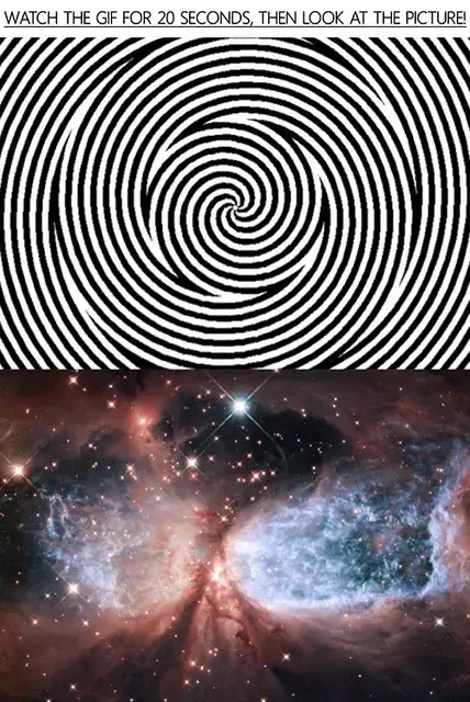I found this to be very similar to mushrooms.
