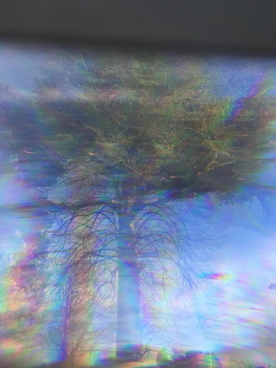 Someone suggested I post this here. Photo through a lens from a physics lab.