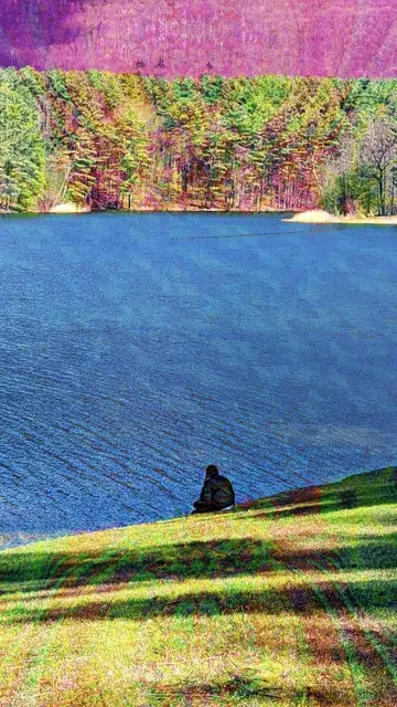 Candy Mountains! — (mushrooms at the lake)