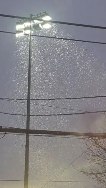 Snow storm over a lit field