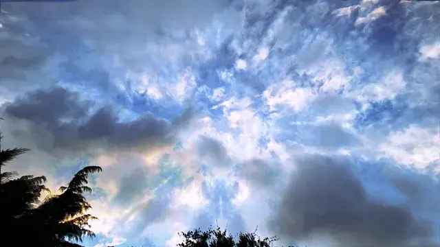 Cloud entity, vaguely defined presence level 1, environmental patterning ( high dose LSD )