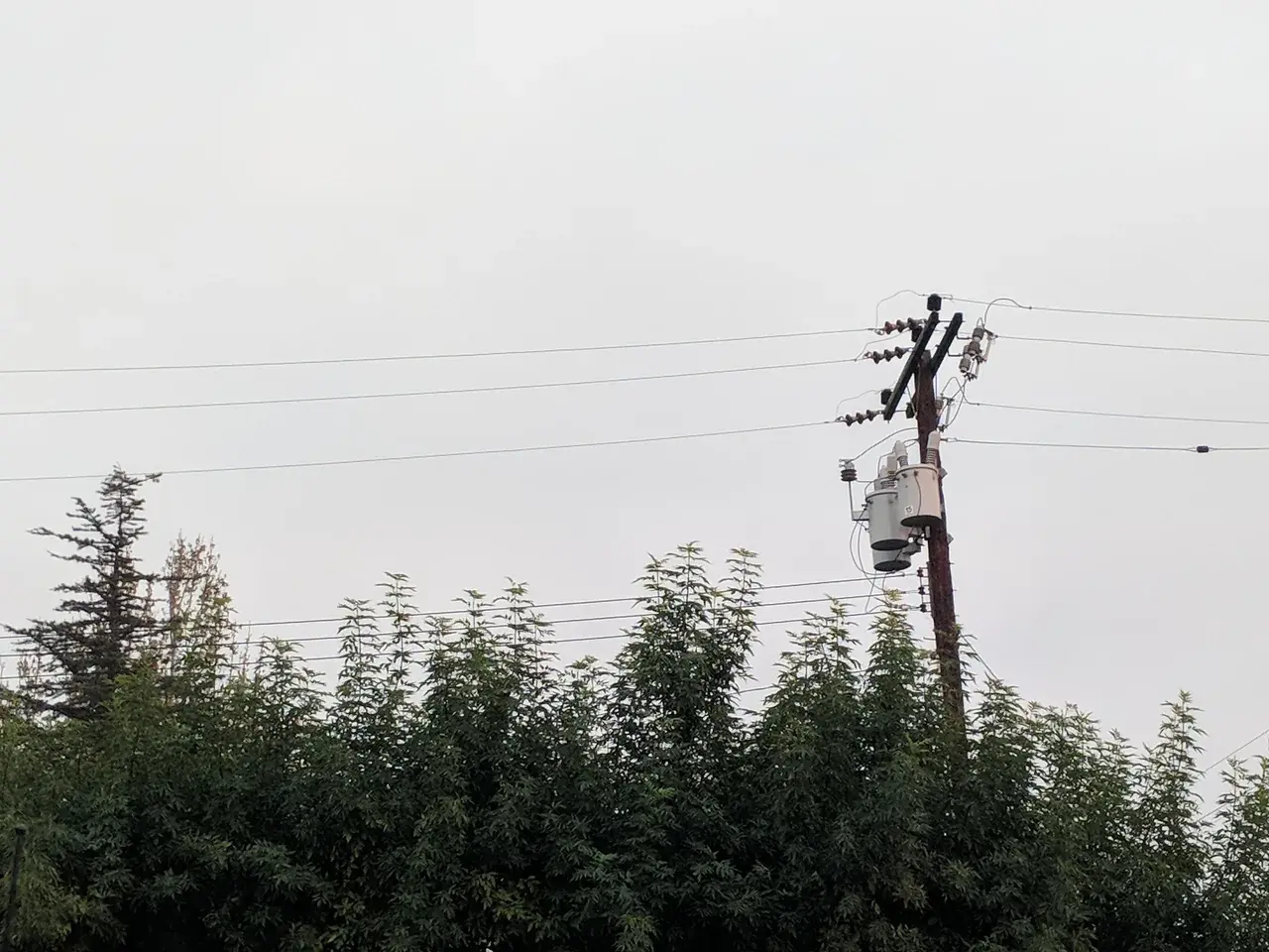 What was actually there, no editing