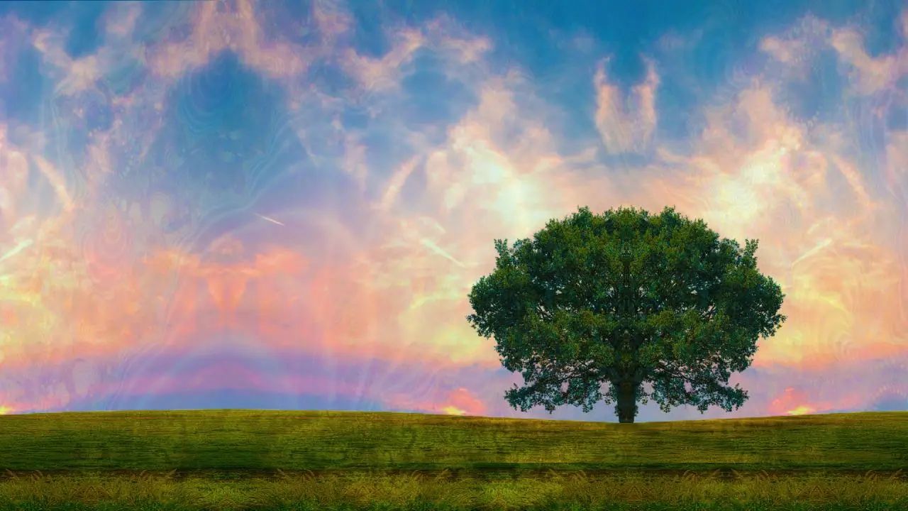 [100ug LSD] The Tree of Life