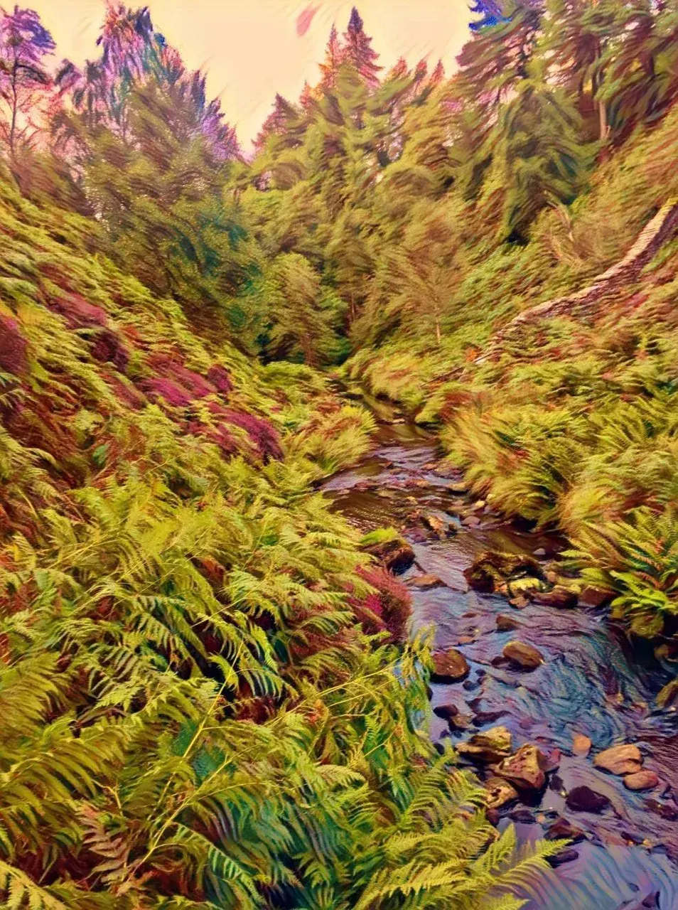 Flow - r/shrooms sent me here [OC]