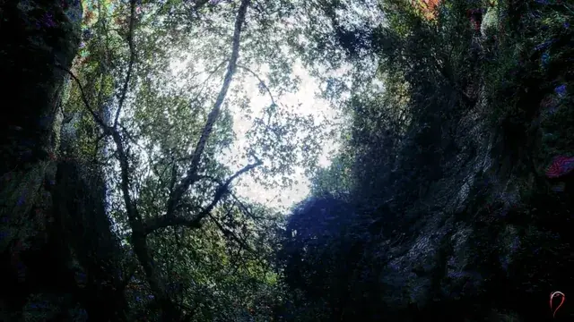 Gorge Entity